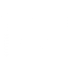 Schengen visa icon